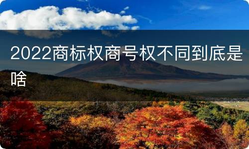 2022商标权商号权不同到底是啥