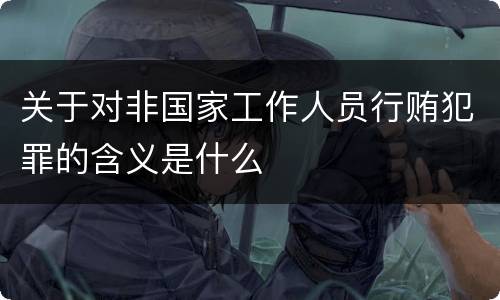 关于对非国家工作人员行贿犯罪的含义是什么