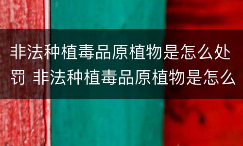 非法种植毒品原植物是怎么处罚 非法种植毒品原植物是怎么处罚的