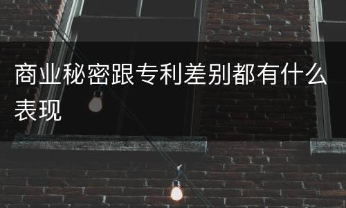 商业秘密跟专利差别都有什么表现