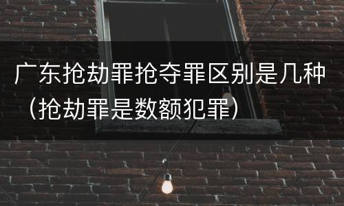 广东抢劫罪抢夺罪区别是几种（抢劫罪是数额犯罪）