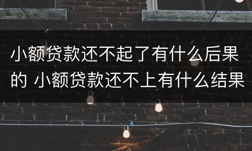 小额贷款还不起了有什么后果的 小额贷款还不上有什么结果
