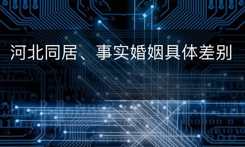 河北同居、事实婚姻具体差别