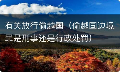 有关放行偷越国（偷越国边境罪是刑事还是行政处罚）
