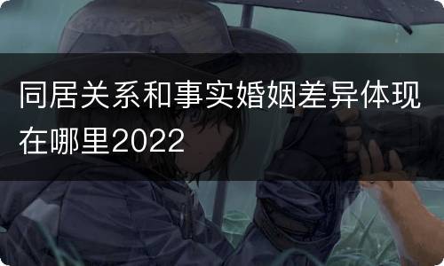 同居关系和事实婚姻差异体现在哪里2022
