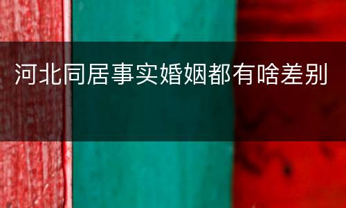 河北同居事实婚姻都有啥差别