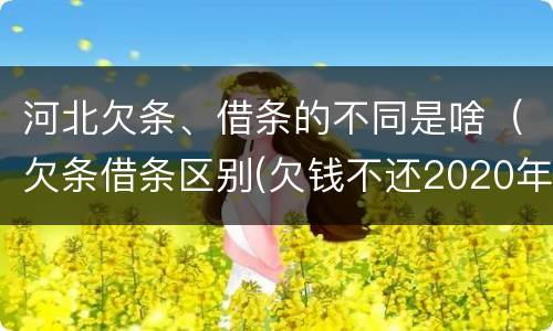 河北欠条、借条的不同是啥（欠条借条区别(欠钱不还2020年新规 - 法律之家）