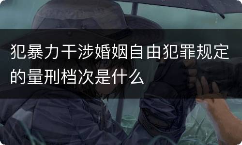 犯暴力干涉婚姻自由犯罪规定的量刑档次是什么