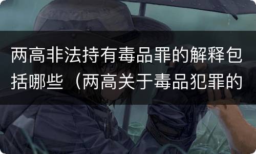 两高非法持有毒品罪的解释包括哪些（两高关于毒品犯罪的司法解释）