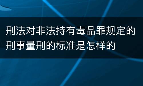 刑法对非法持有毒品罪规定的刑事量刑的标准是怎样的
