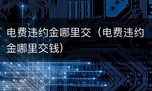 电费违约金哪里交（电费违约金哪里交钱）
