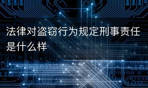 法律对盗窃行为规定刑事责任是什么样