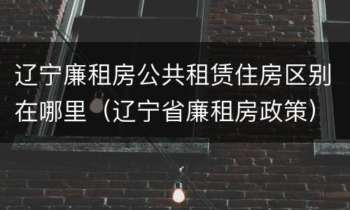 辽宁廉租房公共租赁住房区别在哪里（辽宁省廉租房政策）