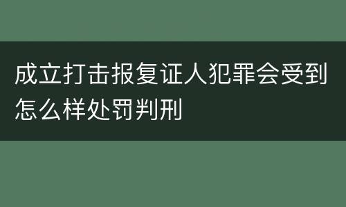 成立打击报复证人犯罪会受到怎么样处罚判刑