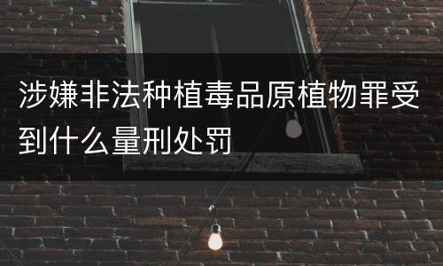 涉嫌非法种植毒品原植物罪受到什么量刑处罚