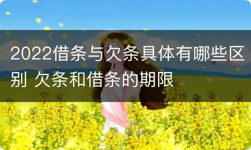 2022借条与欠条具体有哪些区别 欠条和借条的期限