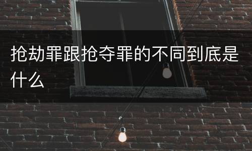 抢劫罪跟抢夺罪的不同到底是什么