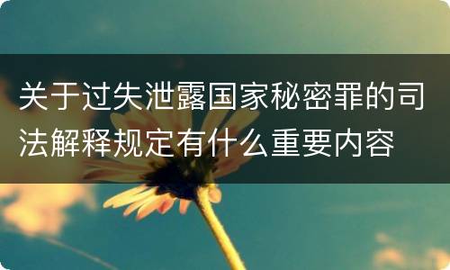 关于过失泄露国家秘密罪的司法解释规定有什么重要内容