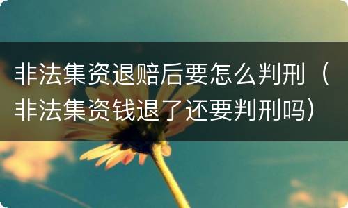 非法集资退赔后要怎么判刑（非法集资钱退了还要判刑吗）