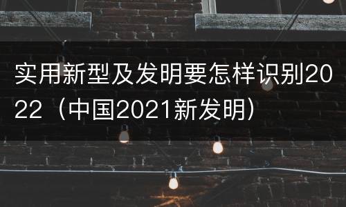实用新型及发明要怎样识别2022（中国2021新发明）