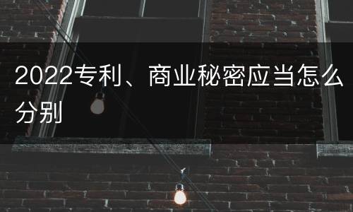 2022专利、商业秘密应当怎么分别