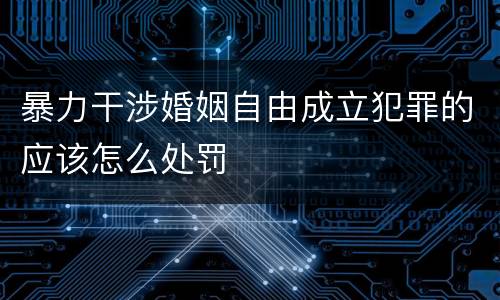 暴力干涉婚姻自由成立犯罪的应该怎么处罚