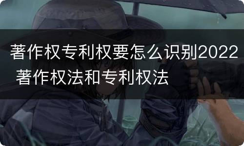 著作权专利权要怎么识别2022 著作权法和专利权法