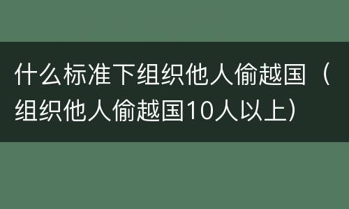 什么标准下组织他人偷越国（组织他人偷越国10人以上）