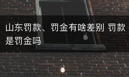山东罚款、罚金有啥差别 罚款是罚金吗