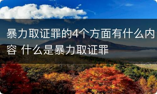 暴力取证罪的4个方面有什么内容 什么是暴力取证罪