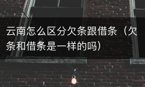 云南怎么区分欠条跟借条（欠条和借条是一样的吗）