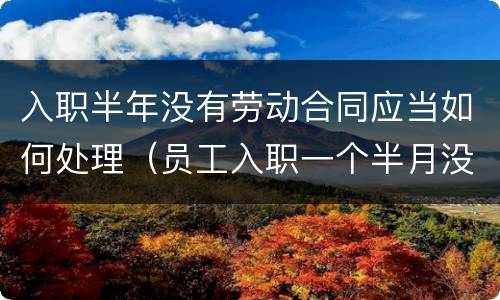 入职半年没有劳动合同应当如何处理（员工入职一个半月没签劳动合同）