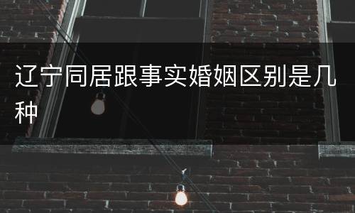 辽宁同居跟事实婚姻区别是几种