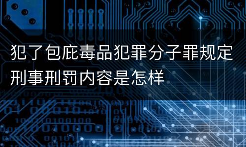 犯了包庇毒品犯罪分子罪规定刑事刑罚内容是怎样