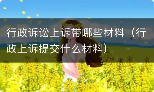 行政诉讼上诉带哪些材料（行政上诉提交什么材料）