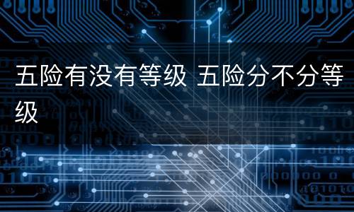 五险有没有等级 五险分不分等级