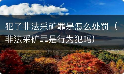 犯了非法采矿罪是怎么处罚（非法采矿罪是行为犯吗）