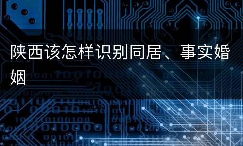 陕西该怎样识别同居、事实婚姻