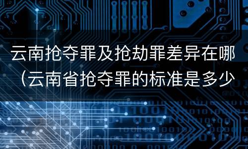 云南抢夺罪及抢劫罪差异在哪（云南省抢夺罪的标准是多少?）