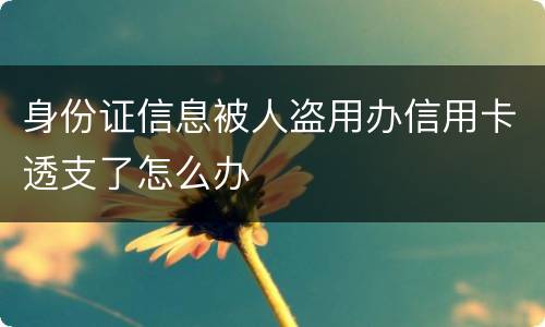 身份证信息被人盗用办信用卡透支了怎么办