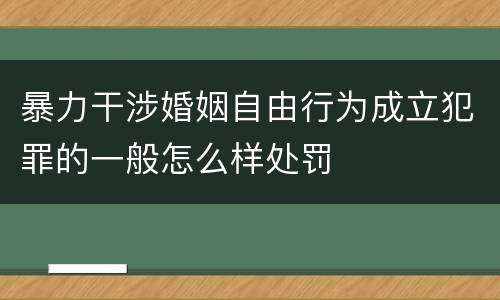 暴力干涉婚姻自由行为成立犯罪的一般怎么样处罚