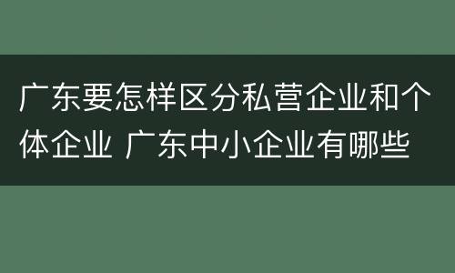 广东要怎样区分私营企业和个体企业 广东中小企业有哪些