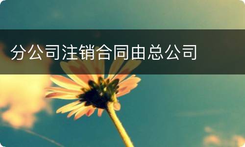 分公司注销合同由总公司 分公司注销合同由总公司