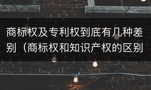 商标权及专利权到底有几种差别（商标权和知识产权的区别）