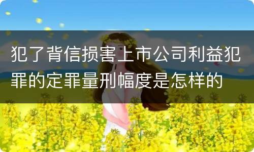 犯了背信损害上市公司利益犯罪的定罪量刑幅度是怎样的