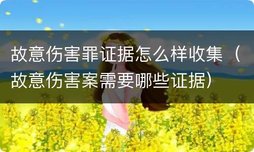 故意伤害罪证据怎么样收集（故意伤害案需要哪些证据）