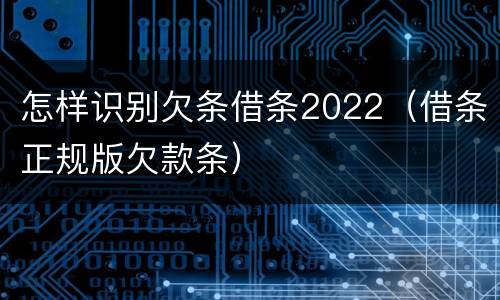 怎样识别欠条借条2022（借条正规版欠款条）