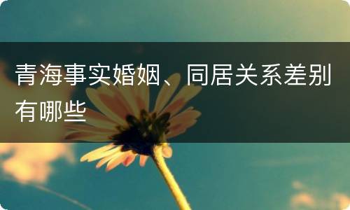 青海事实婚姻、同居关系差别有哪些