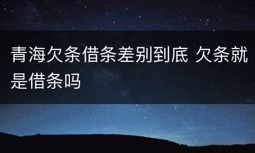 青海欠条借条差别到底 欠条就是借条吗