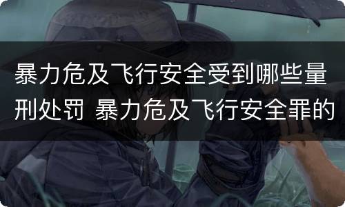 暴力危及飞行安全受到哪些量刑处罚 暴力危及飞行安全罪的构成要件